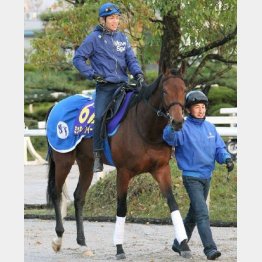 「状態はいい」とミッキークイーンの池江調教師