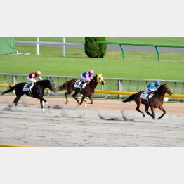 4走前の一千万は5馬身差の圧勝だった