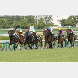 右回りの鳴尾記念でラブリーデイの②着したことも(右)