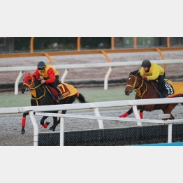 併走相手を問題にしなかった
