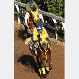 坂道52秒9-12秒0の好タイム