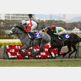 昨年の②着馬(右)はデイリー杯④着ながら14番人気だった