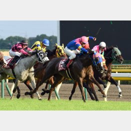 府中牝馬Sでタイトルゲット
