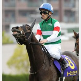 きさらぎ賞で牡馬を一蹴