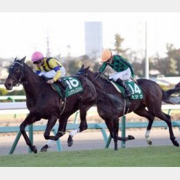 ターコイズSに勝ったシングウィズジョイ