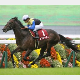 今年Vのラブリーデイは大ブレーク