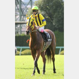 藤岡康とのコンビで制した西宮Sは11番人気だった