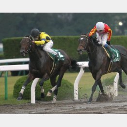 GⅢみやこSに続き重賞2勝目を狙う