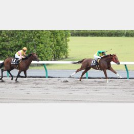 一昨年の夏、中京で圧勝の実績がある