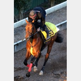 ラストまで馬任せで1F12秒9をマーク