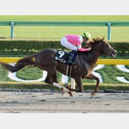 秋嶺Sまでは完勝続きだったモーニン