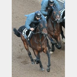 同厩の他馬を問題にしなかった