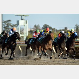 昨年は③着まで差し、追い込み馬が独占