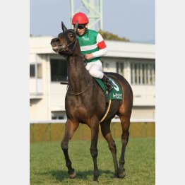 ルージュバックはここから牝馬GⅠへ向かった