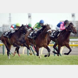セントポーリア賞はサトノキングダムが勝利