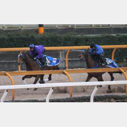 馬なりで相手を突き放した