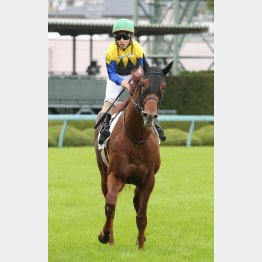 松若とのコンビで未勝利勝ち