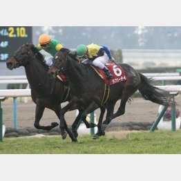昨年はラブリーデイが競り勝った