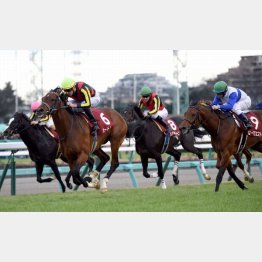 ホープルSでは父ディープのように〝飛んだ〟