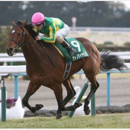 きさらぎ賞では完勝