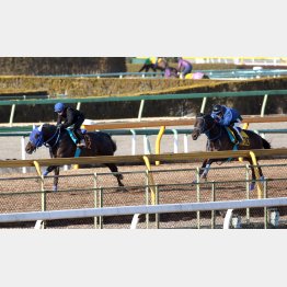 古馬に1馬身先着した