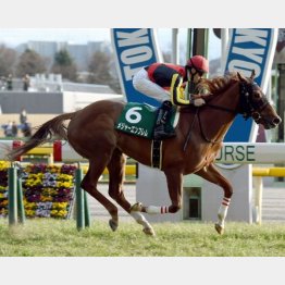 5馬身差の圧勝