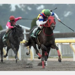同じ舞台の武蔵野Sは直一気