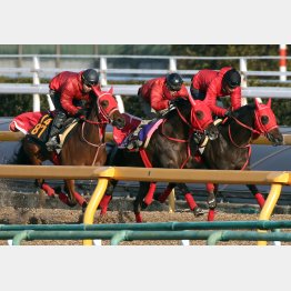 内、外の格下2頭と併入だった