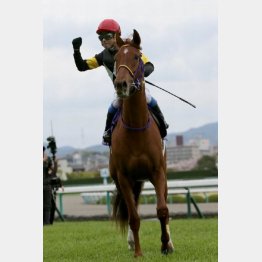 昨春以来の勝利なるか