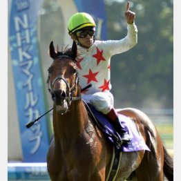 NHKマイルCでGⅠウイナーに