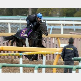 追い切りを間近で見守った田中剛師