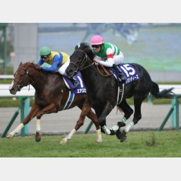 前回はリオンディーズが先着したが……