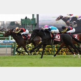 レース内容は優等生的だった
