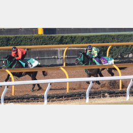 前に追いつかずゴールでは半馬身遅れ(右)