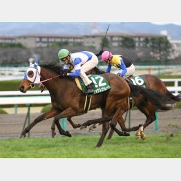 10年は6枠の馬が勝ち、8枠のアパパネが②着だった
