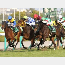 シンハライトが激戦を制した