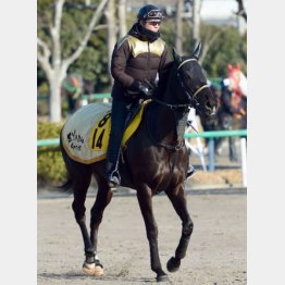 愛知杯は差し決着だったシュンドルボン