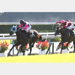 昨秋のもみじSは2馬身差の快勝だった