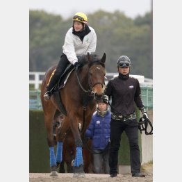 きのうはディープ産駒にまたがった