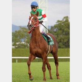 京都2歳Sでタイトルホルダーに