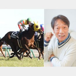 見栄晴さんは短距レースが好き