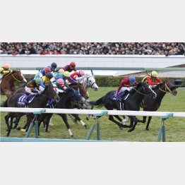 暮れのグランプリは大激戦だった