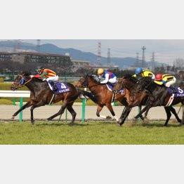 11年は11番人気アーバニティ(右)が後方から突っ込んだ