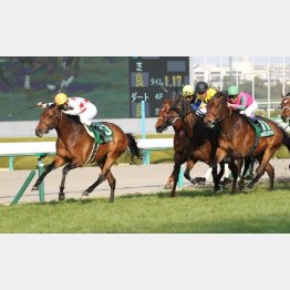 阪急杯の①着馬は7枠