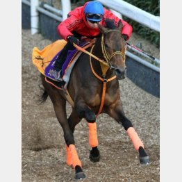 「ジャパンC馬として恥ずかしくないレースを」と高野調教師