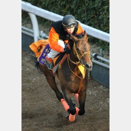 レースと同様の瞬発力を見せた