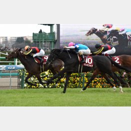 中山記念ではリアルスティールに先着