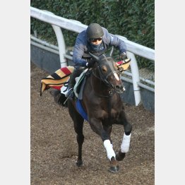直前は坂路で1F12秒2と切れた