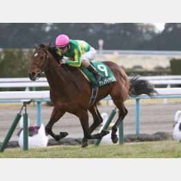 単勝1・2倍のきさらぎ賞で3馬身半差の圧勝