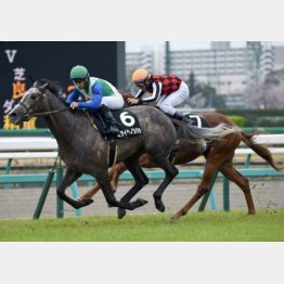 山吹賞はミライヘノツバサが勝利